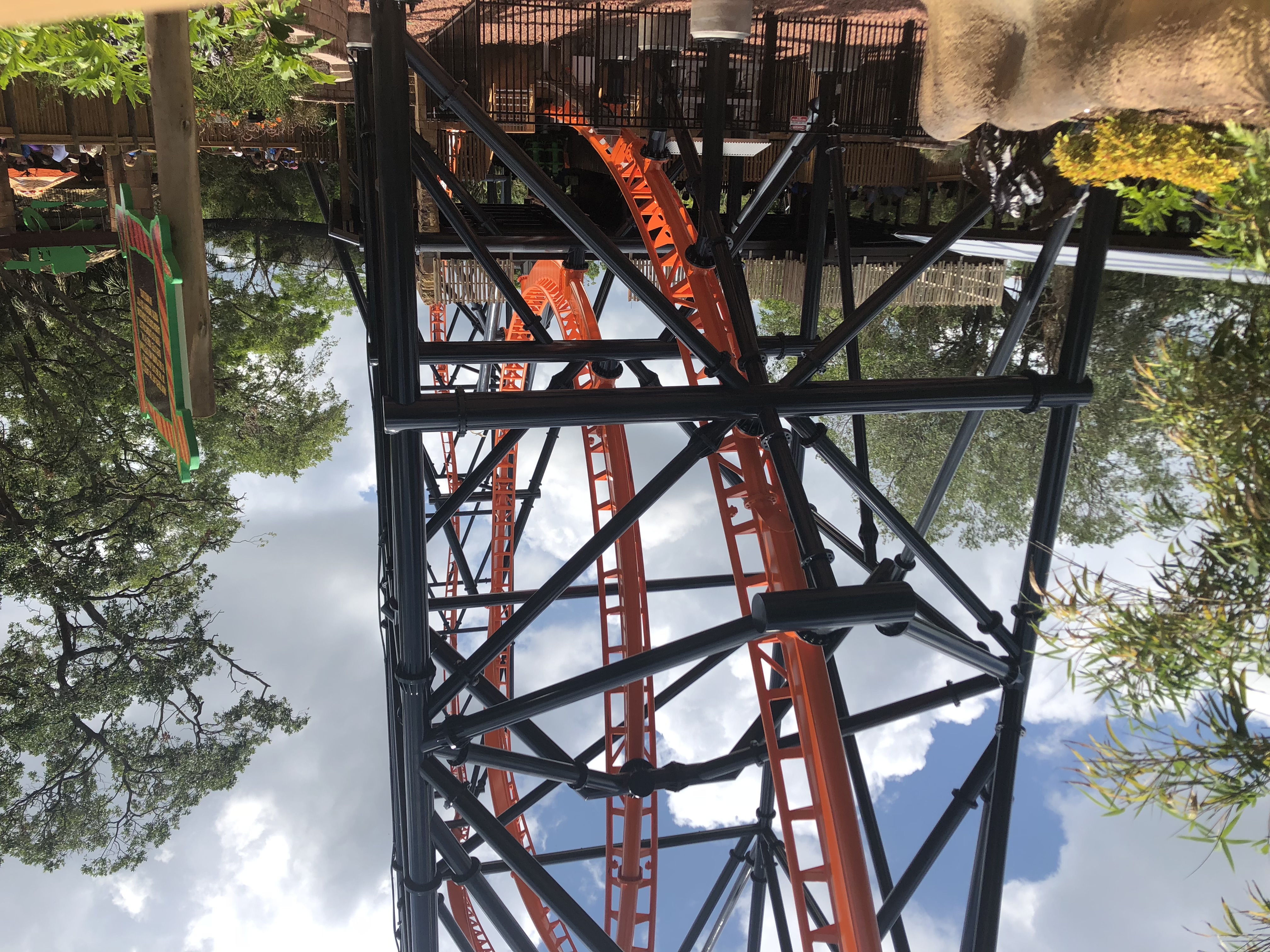 Tigris – fotka 5