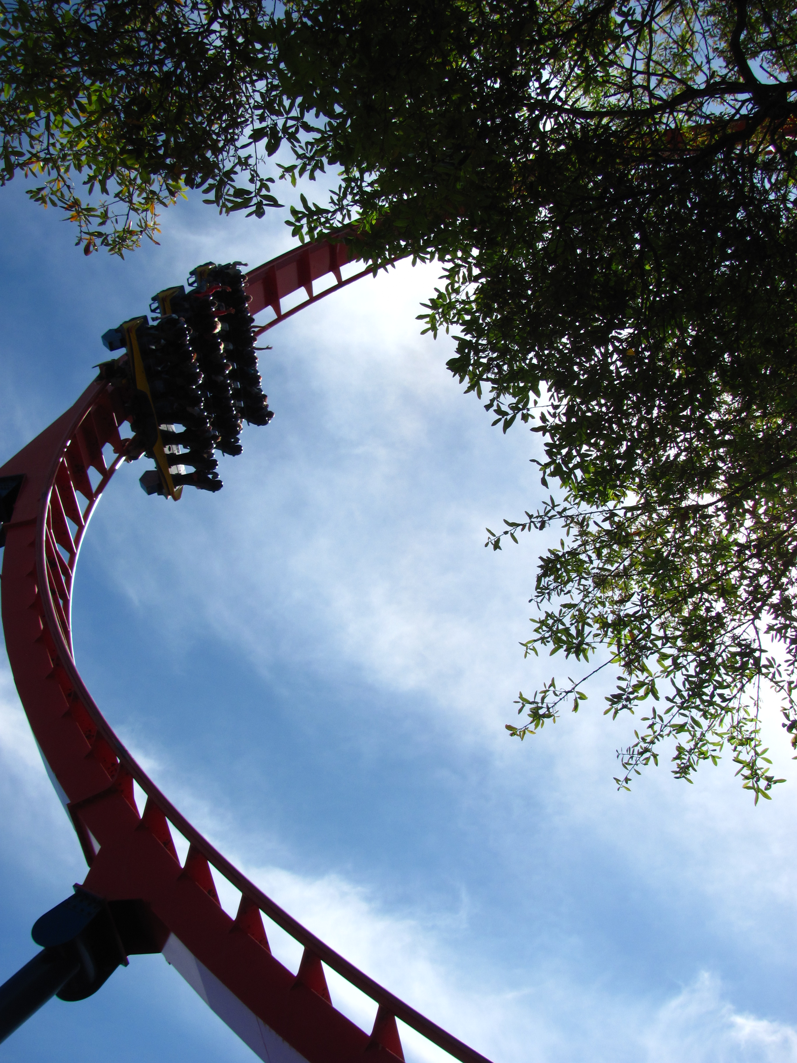 SheiKra – fotka 3