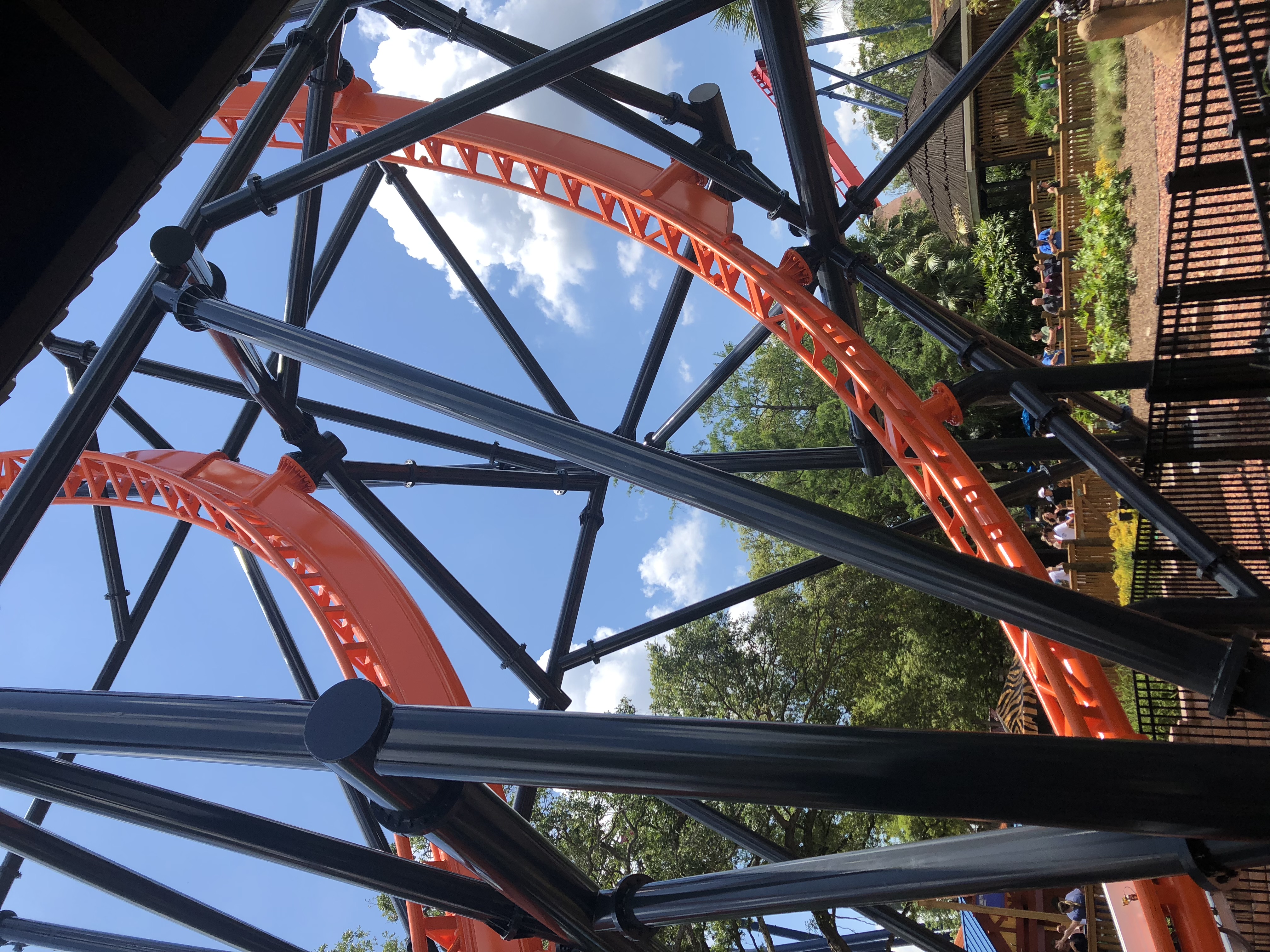 Tigris – fotka 3