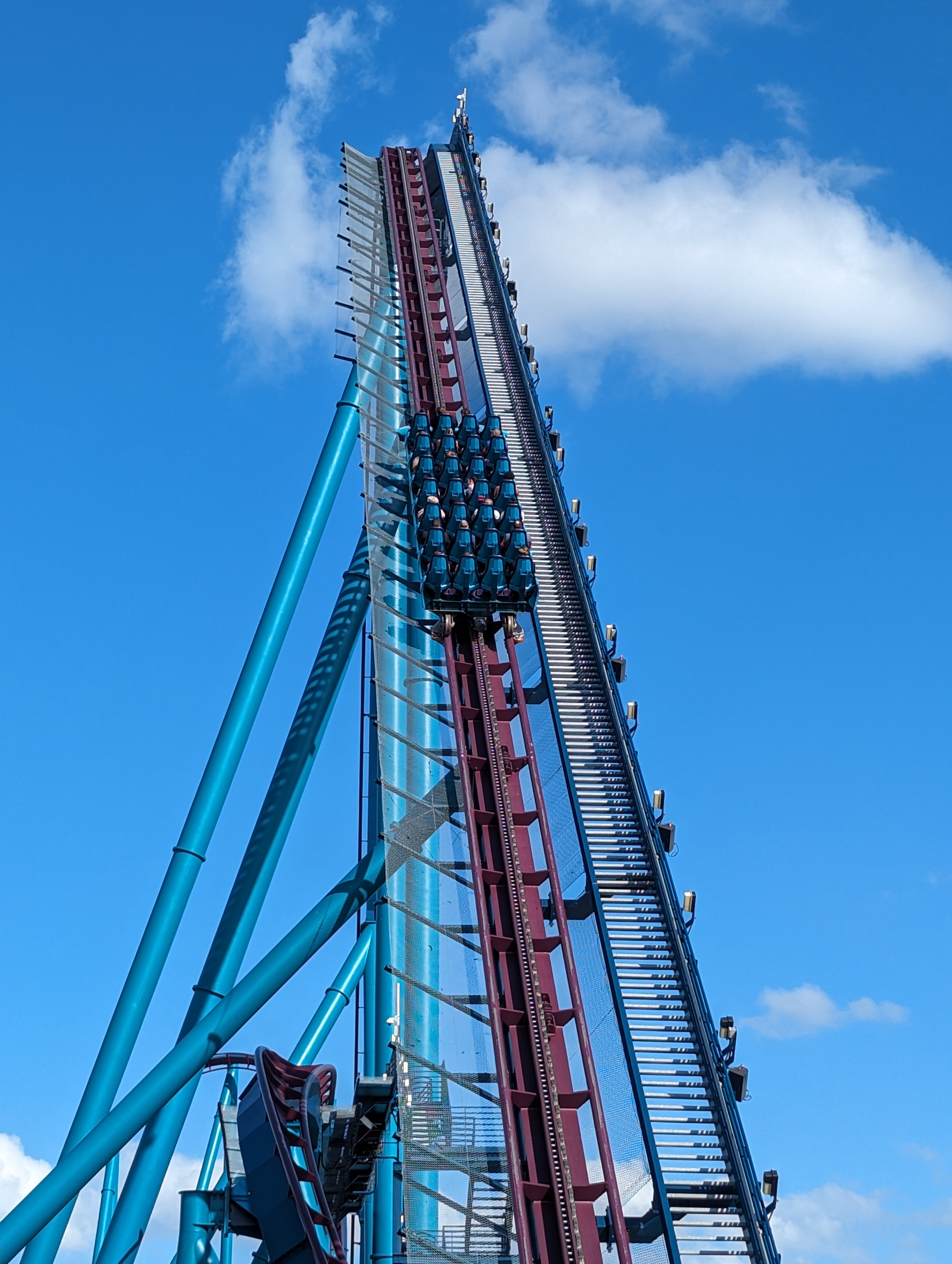 Mako – fotka 3