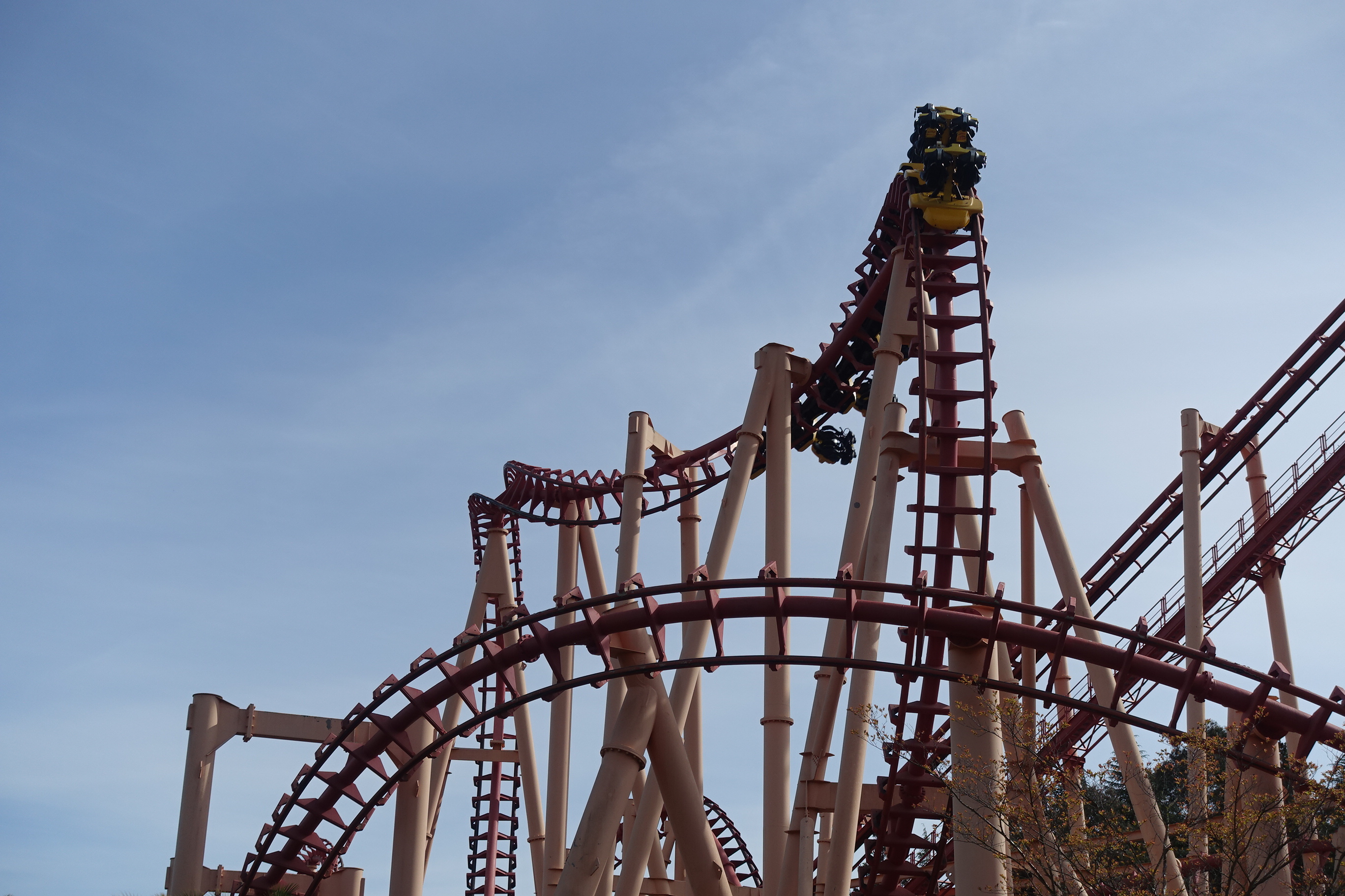 Kong – fotka 3
