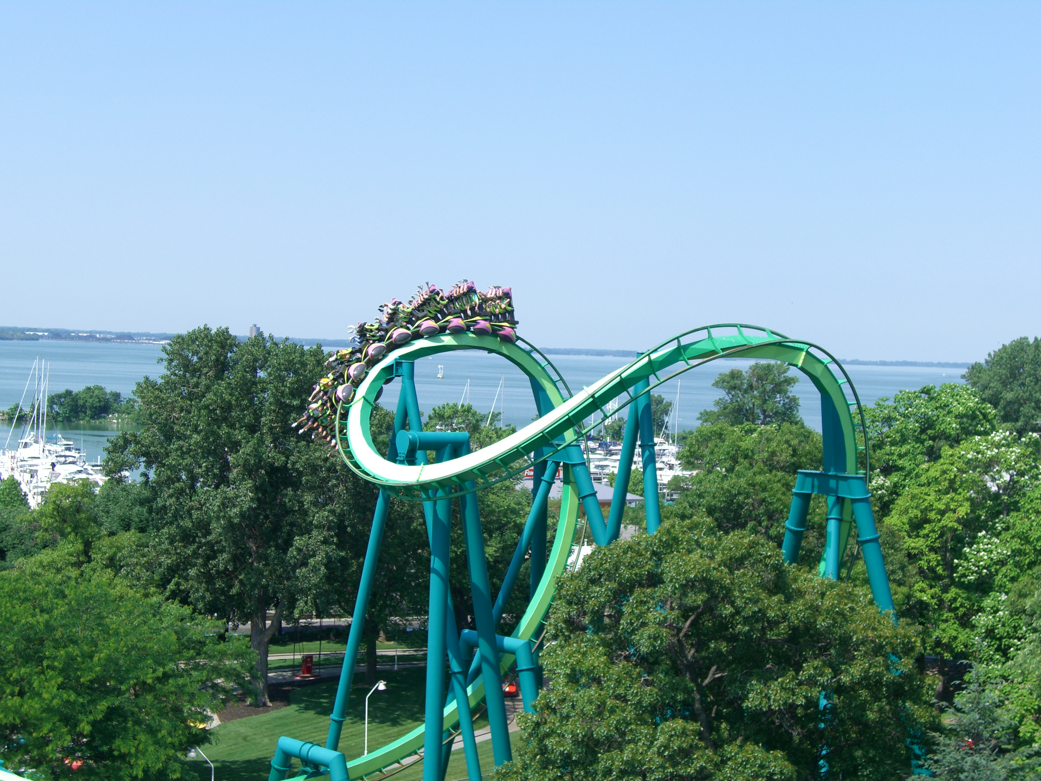 Raptor – fotka 3