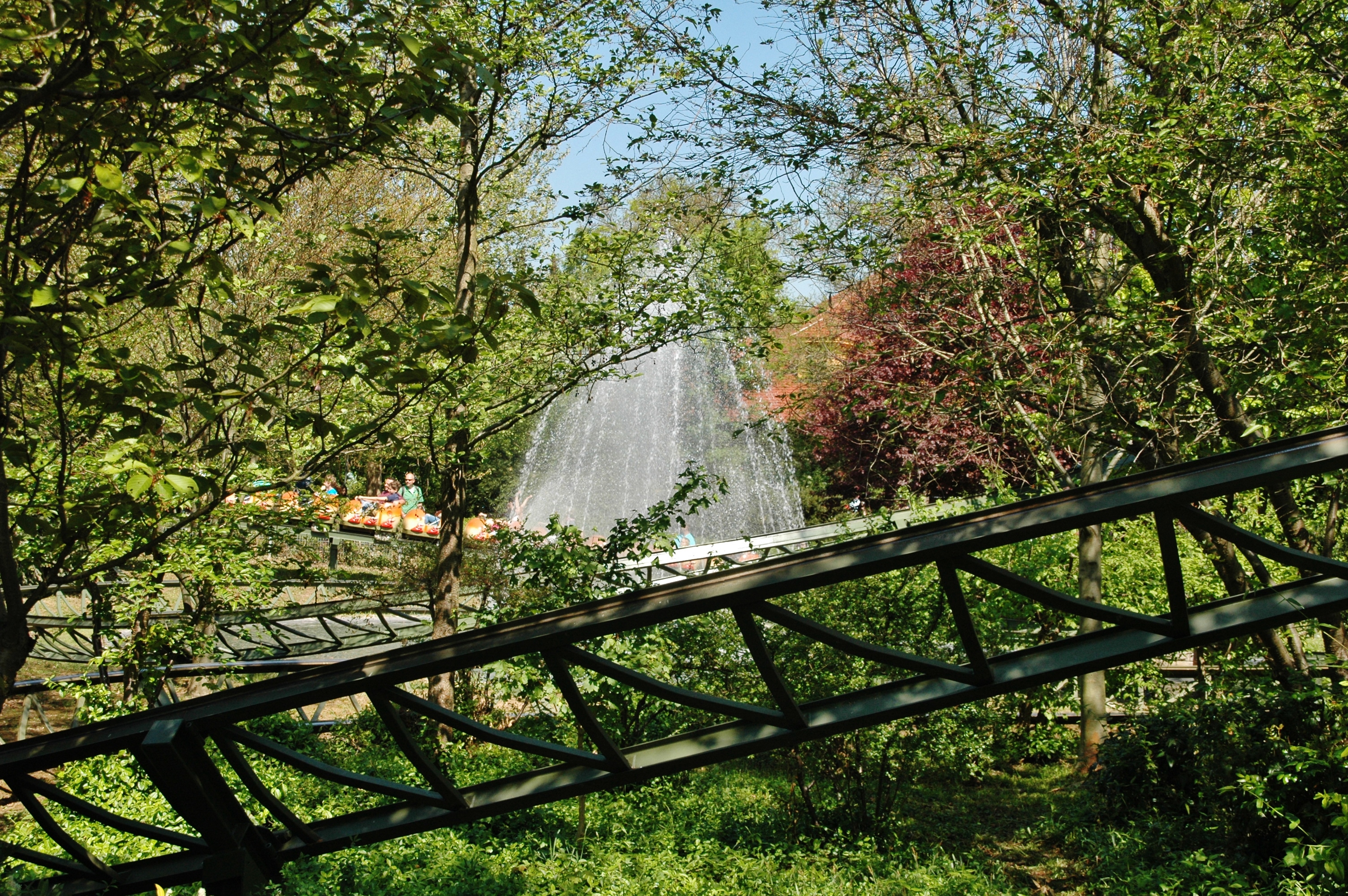 Rasender Tausendfüßler – fotka 3