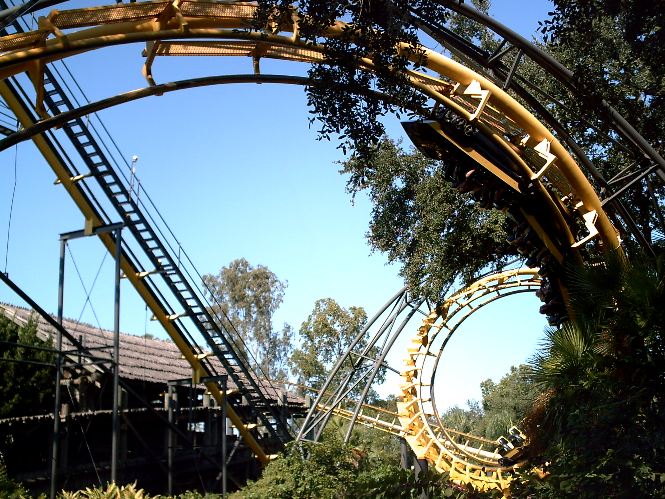 Python – fotka 2