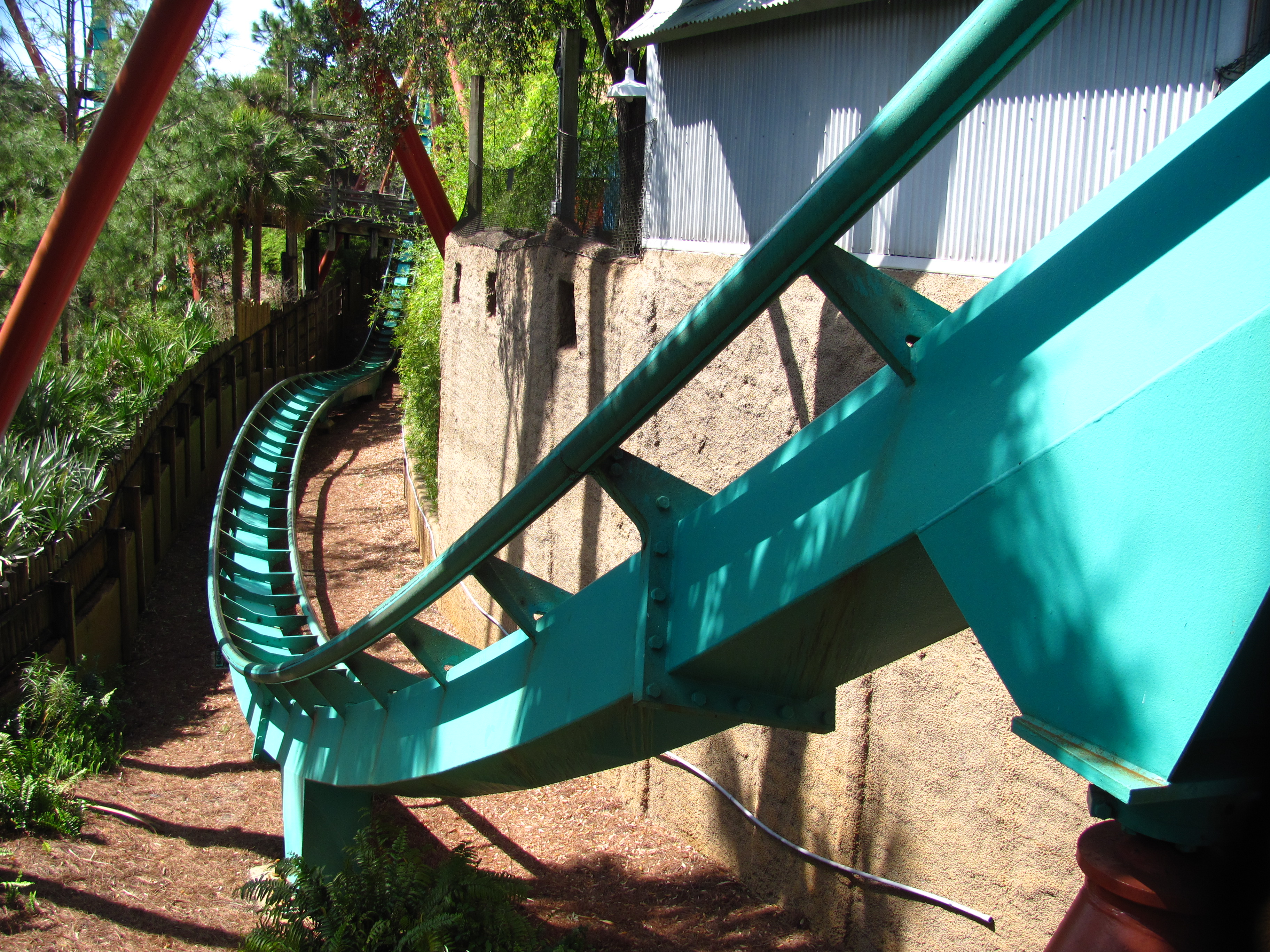 Kumba – fotka 3