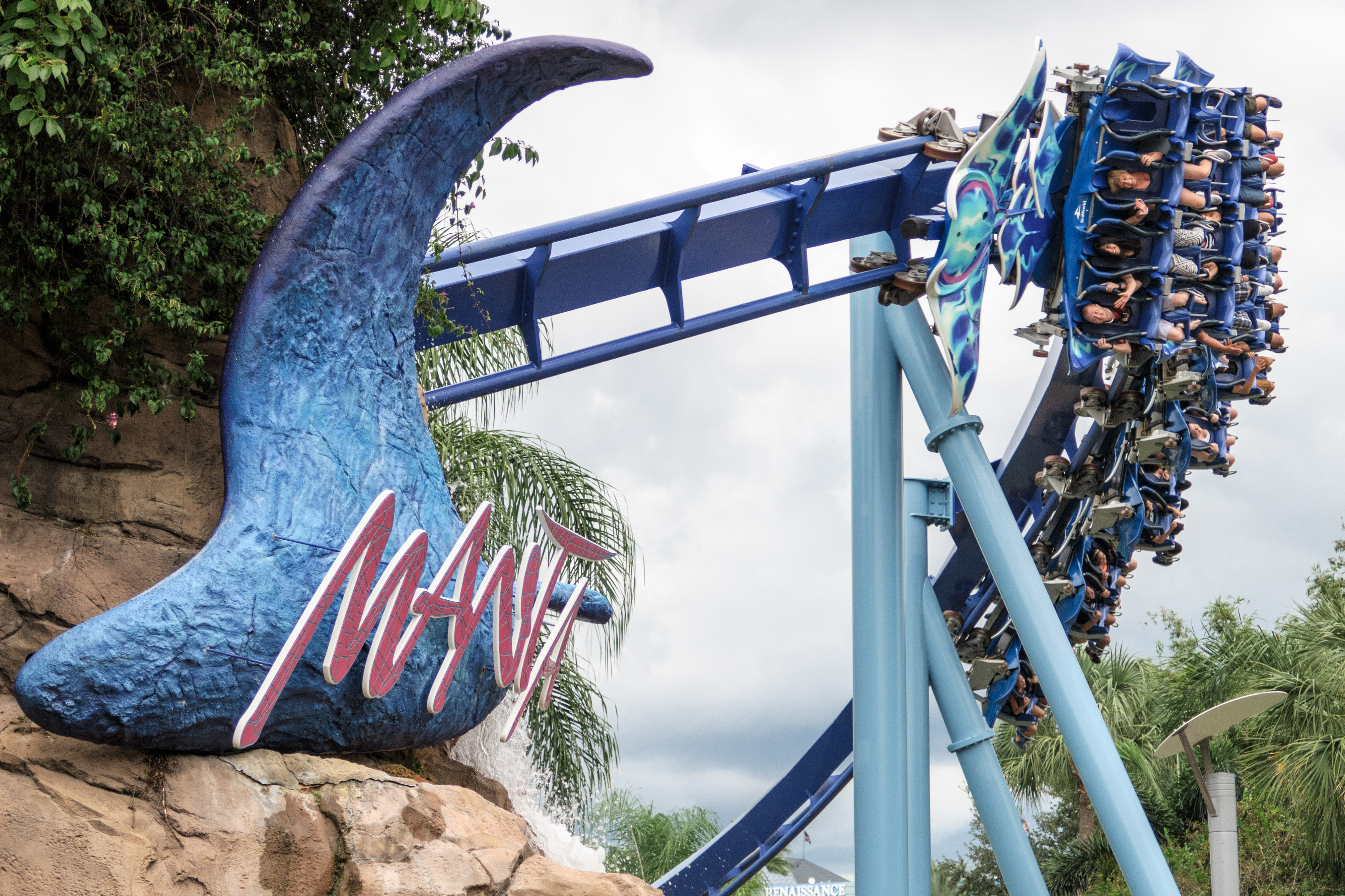 Manta – fotka 2