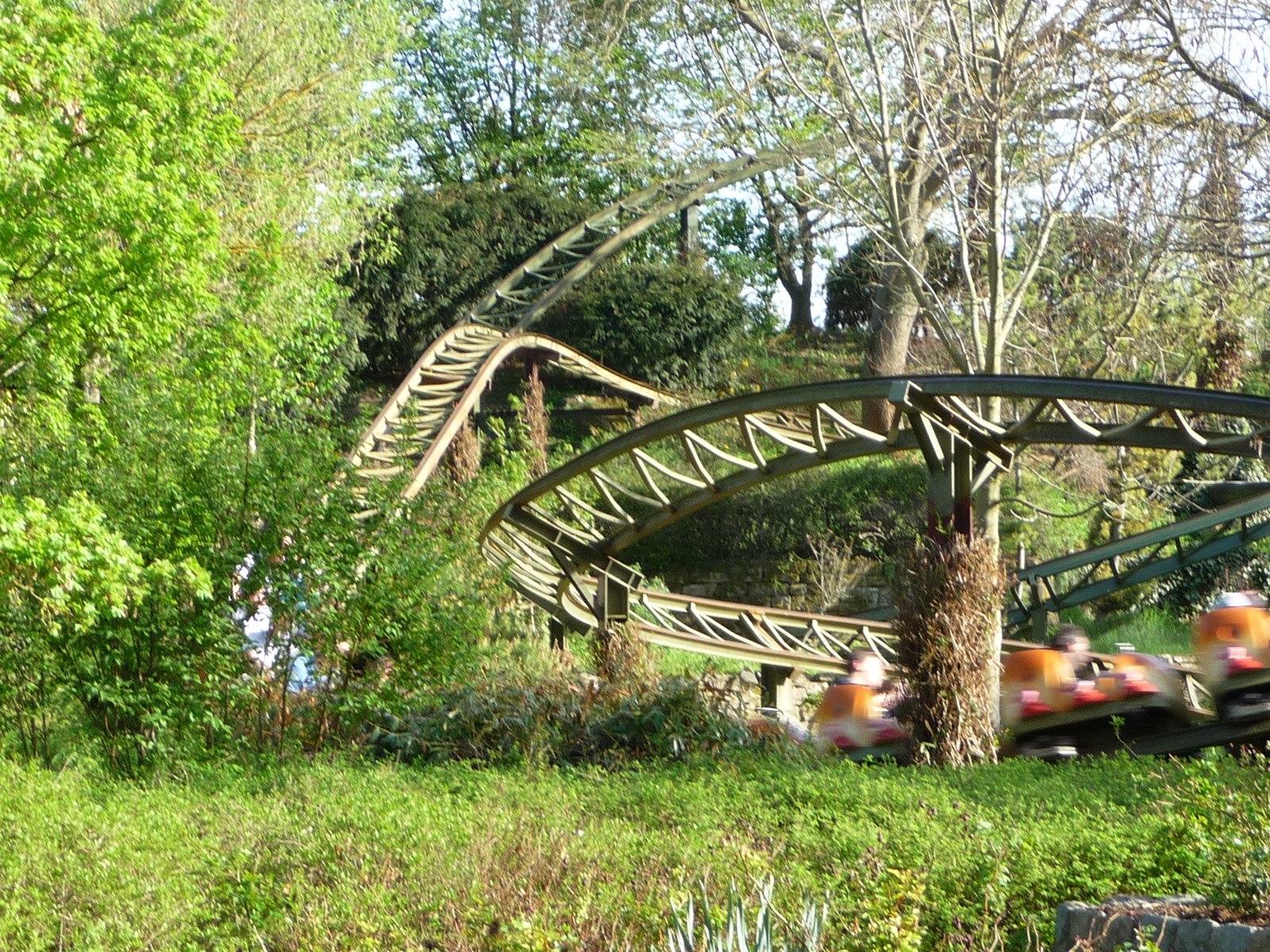 Rasender Tausendfüßler – fotka 5